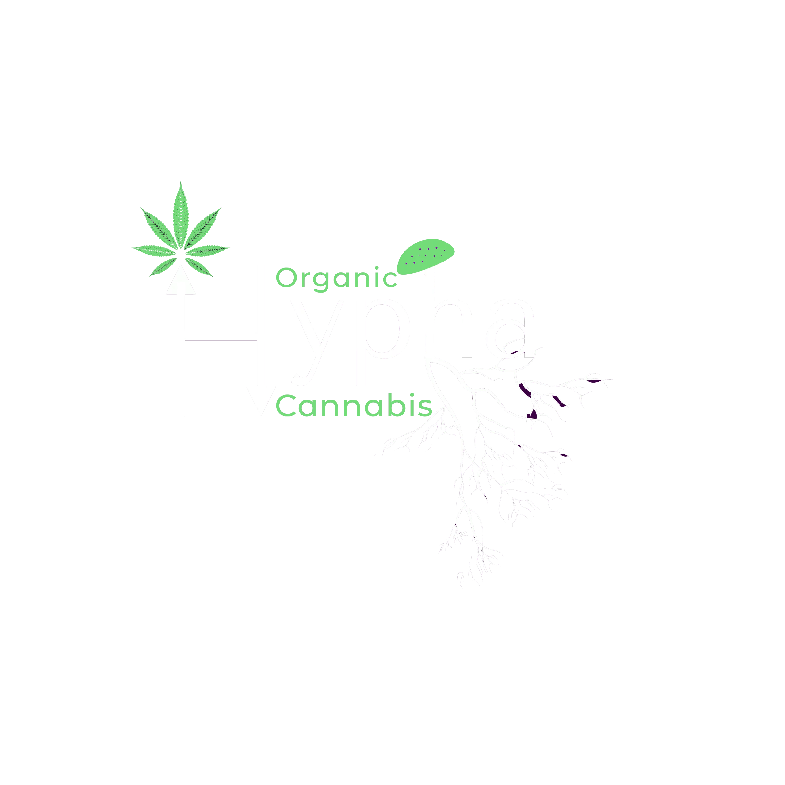 Hypha 