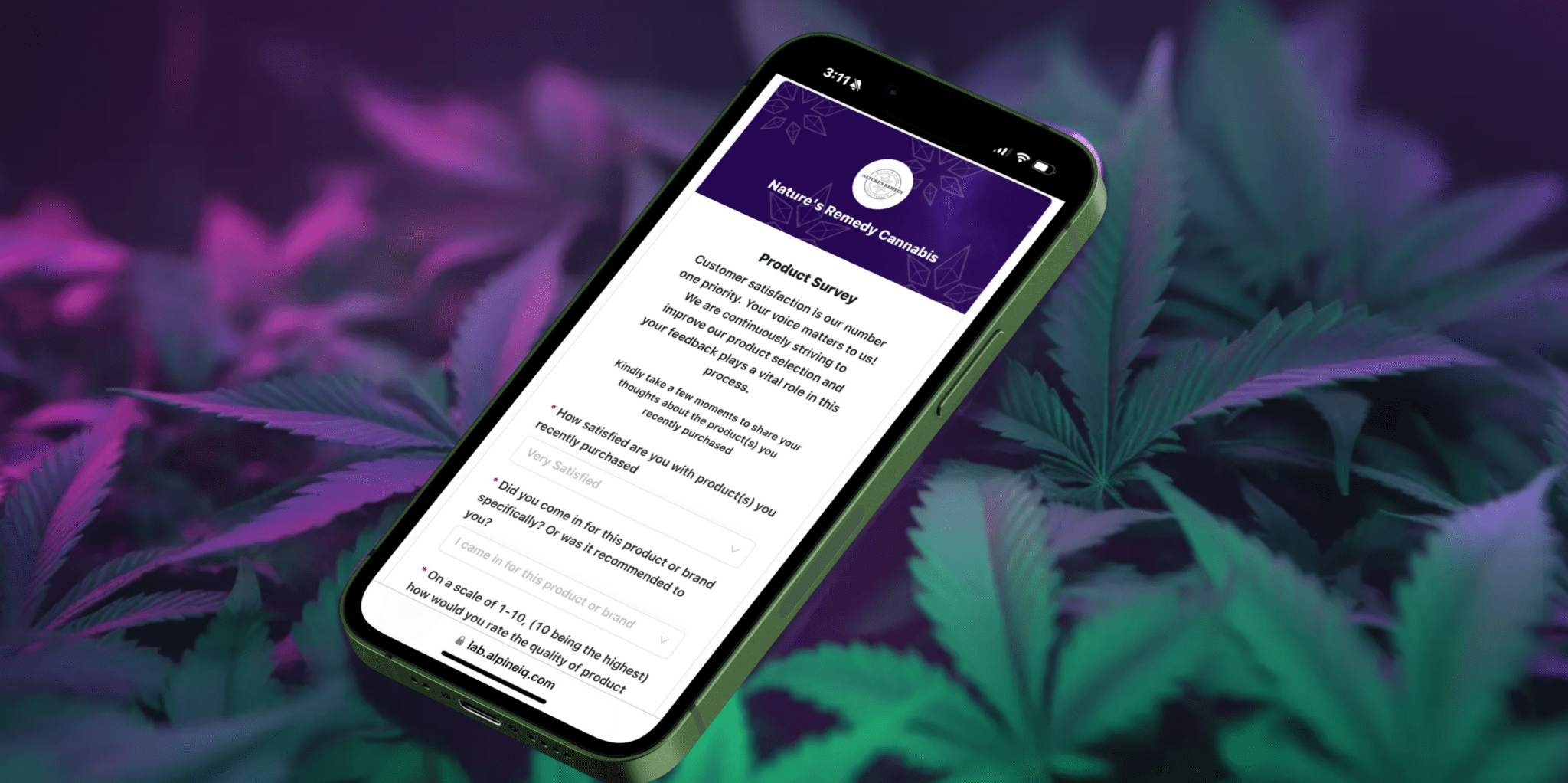 Surveys Nature's Remedy Cannabis Weed Dispensary In Ferndale